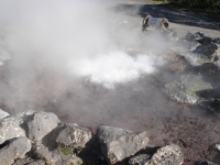 furnas